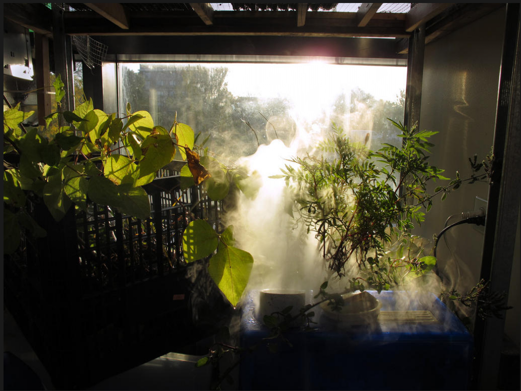 Ultrasonic humidifier as 'caretaking robot' in the window garden. Controlled by the game running on Biomodd's network. Photo: Angelo Vermeulen