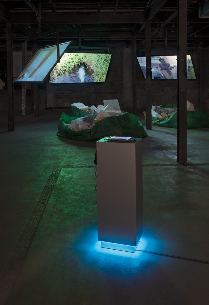 Claire Barber, when you know you know, AOV6. Installation view The Soap Factory. Photo: Rik Sferra. Courtesy Northern Lights.mn