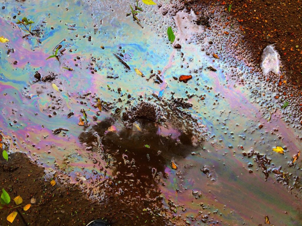 Paul Shambroom, Selfie with oily water and deer print, Minneapolis, 2014
