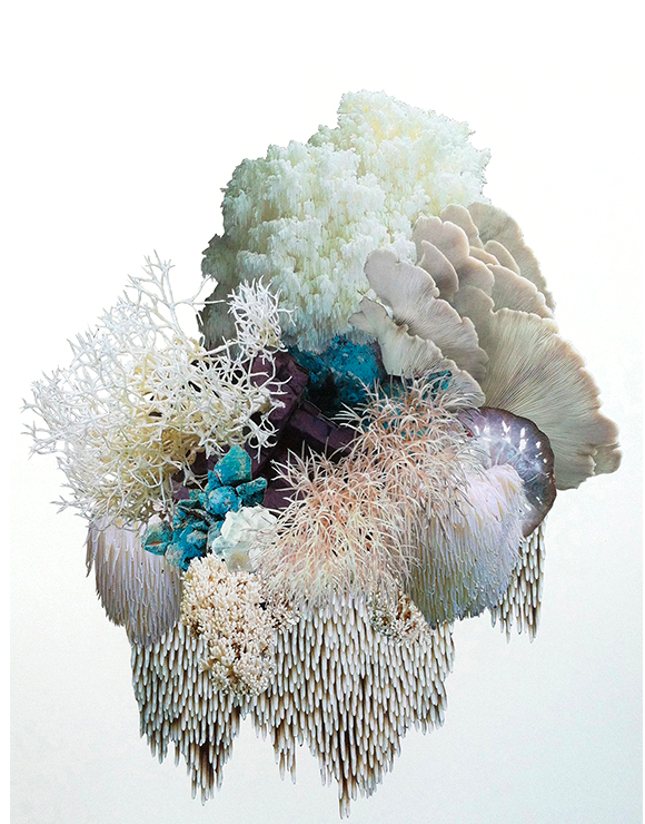 A cloud-like, multi-textured photo collage of crystals, minerals, fungi, coral, and other organic matter with whites, pinks, purples, and blues throughout.