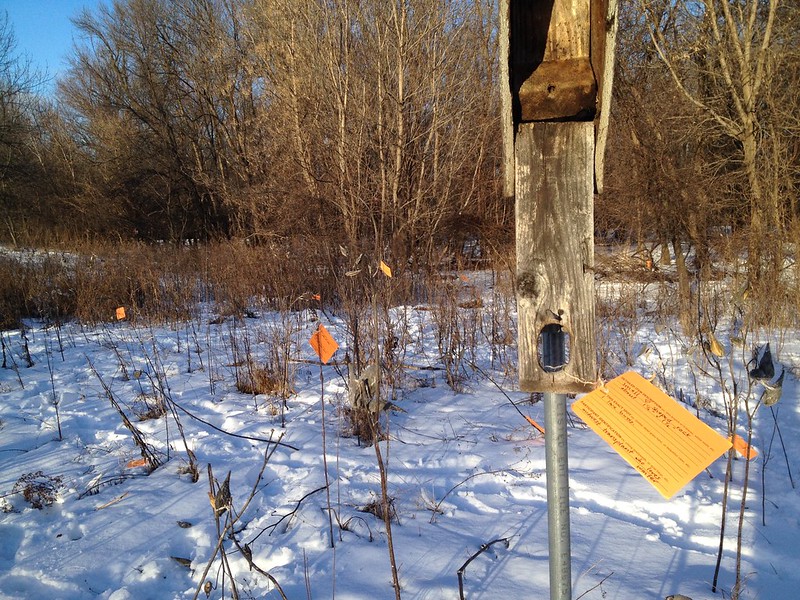 Moheb Soliman, Littering with Nature. ARTathalon at FourPlay MSP. Photo: Bethany Bernie